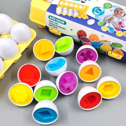 Sensory Play Eggs Montessori Toy