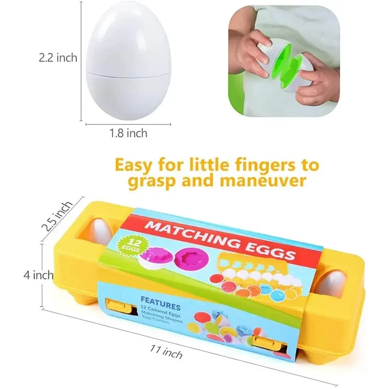 Sensory Play Eggs Montessori Toy