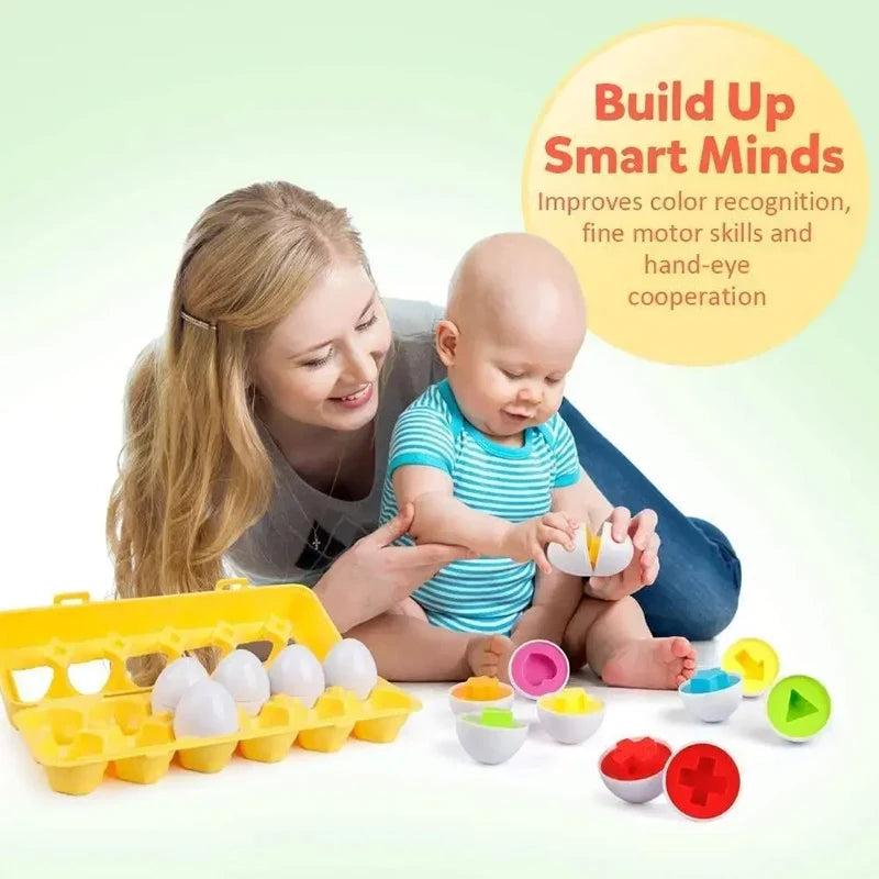 Sensory Play Eggs Montessori Toy