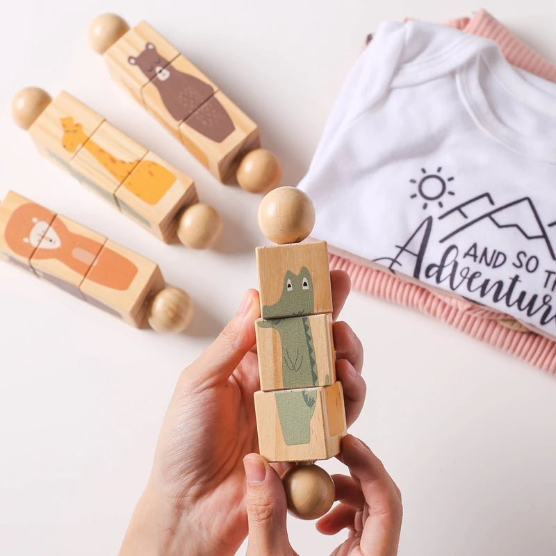 Wooden Montessori Toy